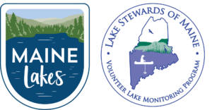ML and LSM Logos